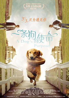 丝袜avhd
