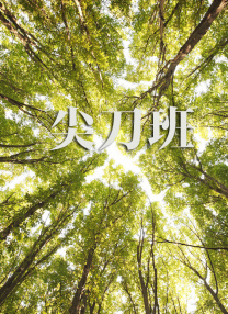 驰傲影视
